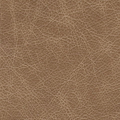Lombardia Sofa and Loveseat at Walker Mattress and Furniture Locations in Cedar Park and Belton TX.