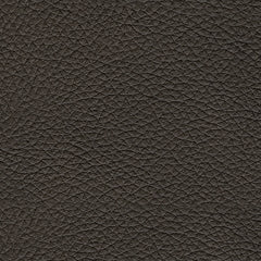 Belziani Sofa and Loveseat at Walker Mattress and Furniture Locations in Cedar Park and Belton TX.