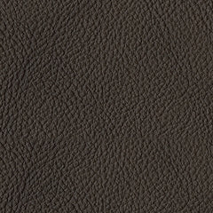 Luigi Sofa and Loveseat at Walker Mattress and Furniture Locations in Cedar Park and Belton TX.
