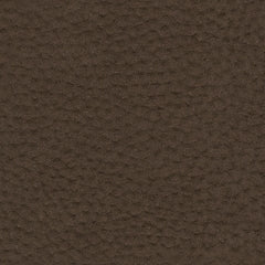 Next-Gen Gaucho Sofa and Loveseat at Walker Mattress and Furniture Locations in Cedar Park and Belton TX.
